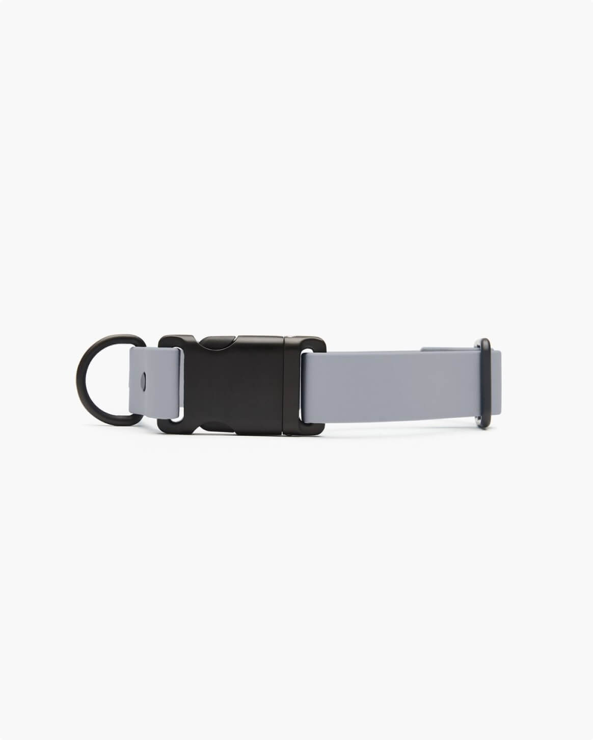 Signature Collar